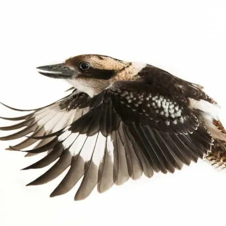 Review #176187, image #3