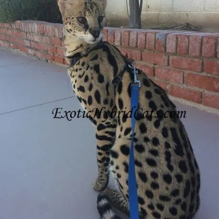 Review #175924, image #2