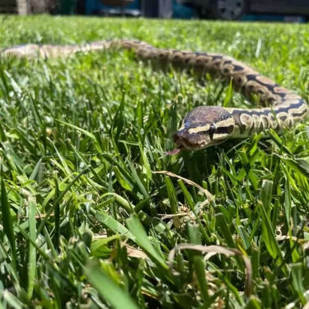 Review #175704, image #1