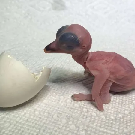 Review #176187, image #1