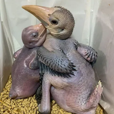 Review #176187, image #2