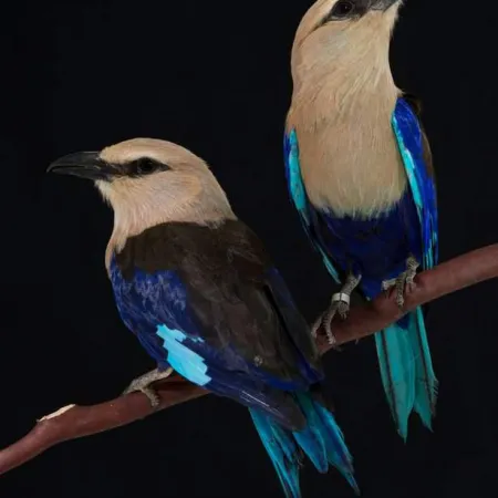 Review #176187, image #4