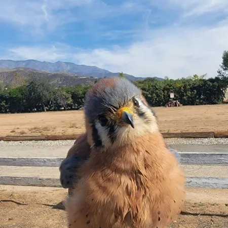 Review #177331, image #1