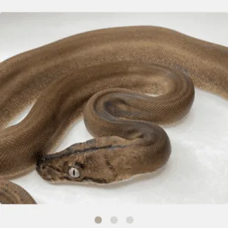 Review #176799, image #2