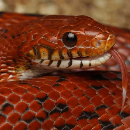 Review #177213, image #1