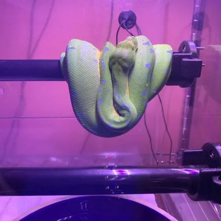 Review #176659, image #1