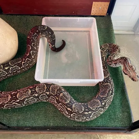 Review #176823, image #6