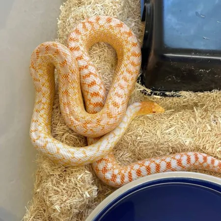 Review #176823, image #5