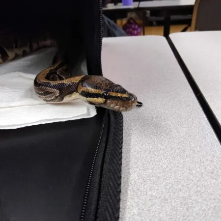 Review #176695, image #2