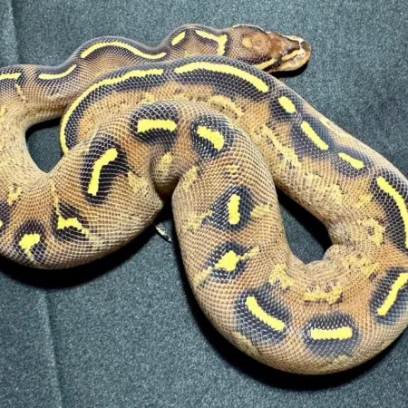 Review #177379, image #3