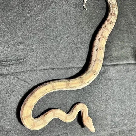 Review #177379, image #2