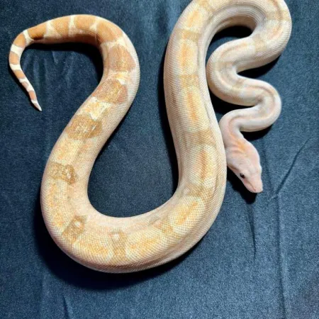 Review #177379, image #1