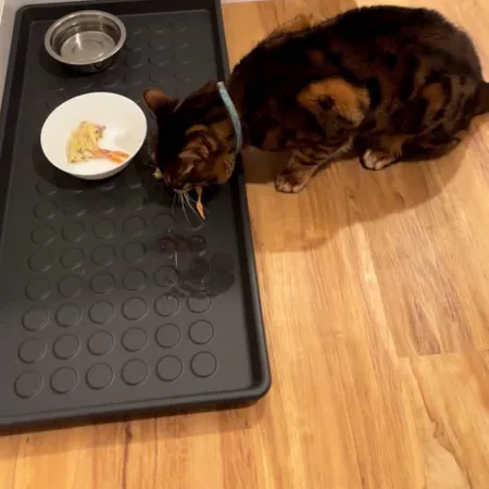 Review #177412, image #1