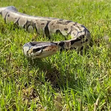 Review #176788, image #1