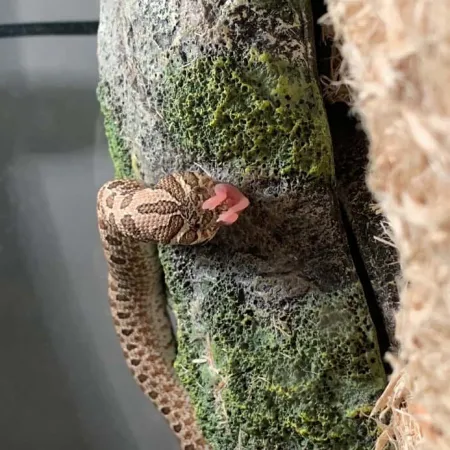 Review #176577, image #1