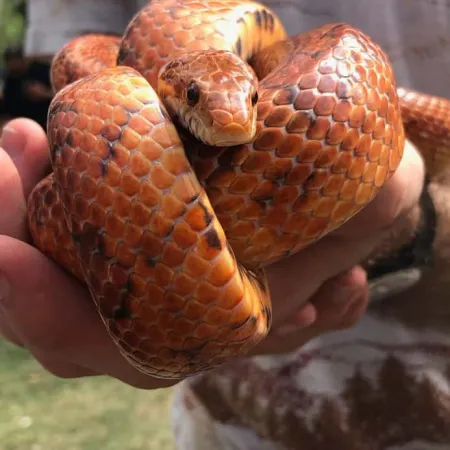 Review #176695, image #1