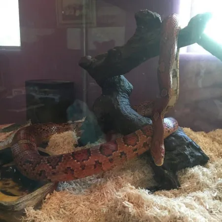 Review #178305, image #1