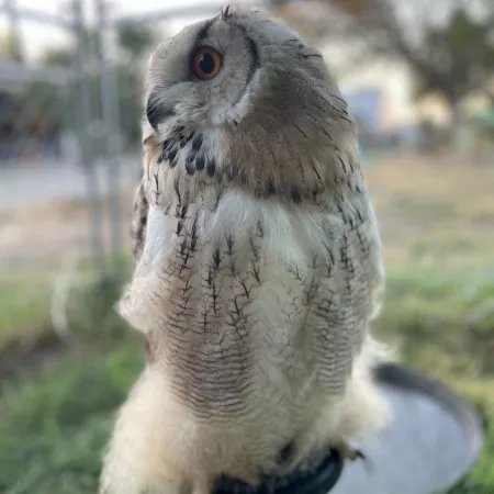 Review #178262, image #1