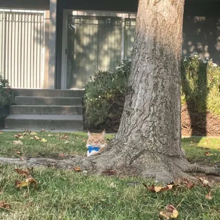 Review #178089, image #1