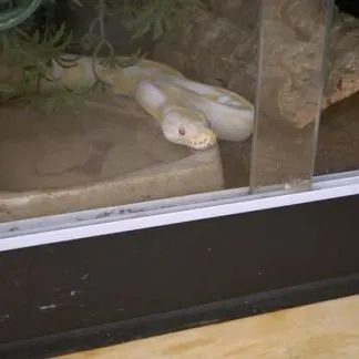 Review #178504, image #1