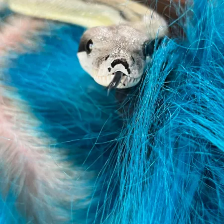 Review #179282, image #1