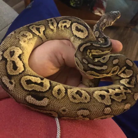 Review #179700, image #2