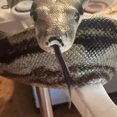 Review #179282, image #2