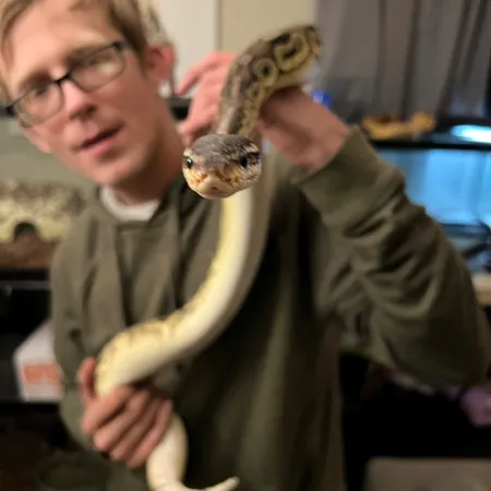 Review #179700, image #1