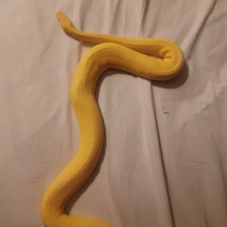 Review #179383, image #2