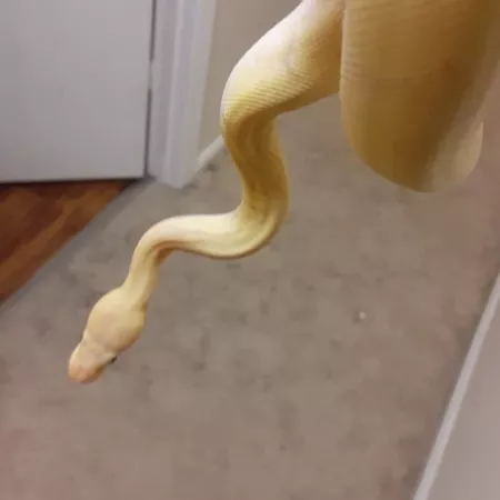 Review #179383, image #1