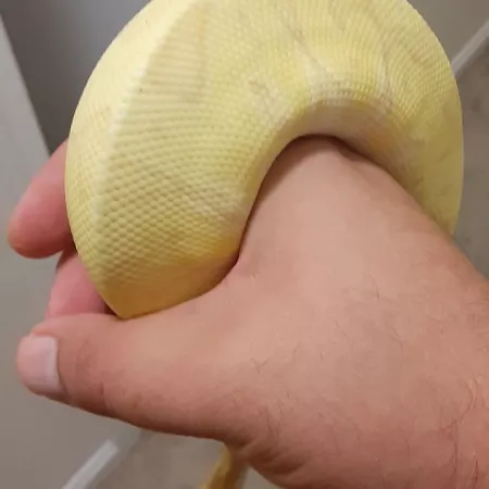 Review #179383, image #3