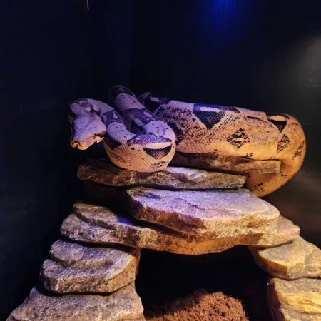 Review #181107, image #1