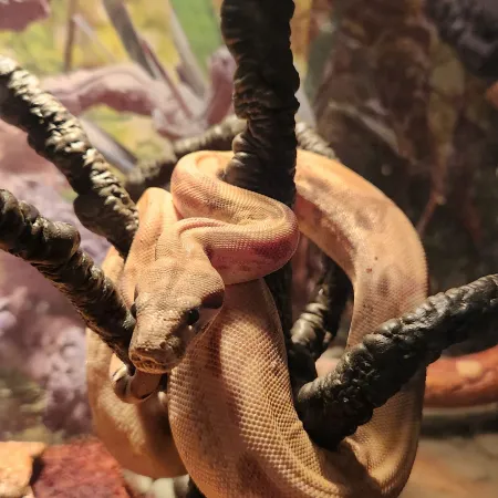 Review #181107, image #2