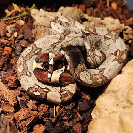 Review #181107, image #3