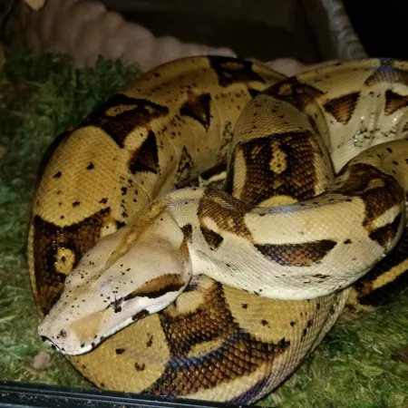 Review #181107, image #4