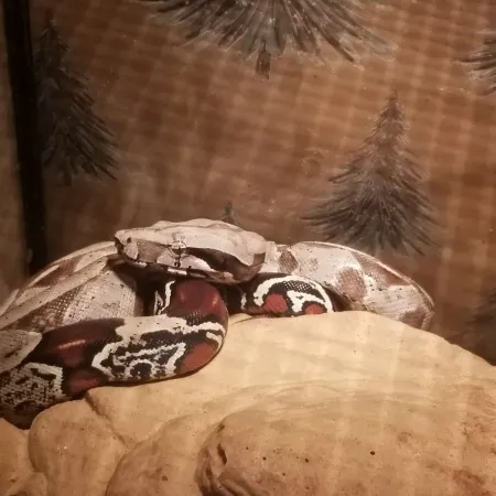 Review #181107, image #5