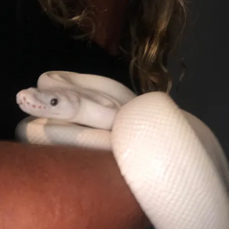 Review #181088, image #2