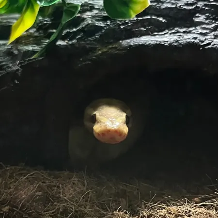 Review #180484, image #1