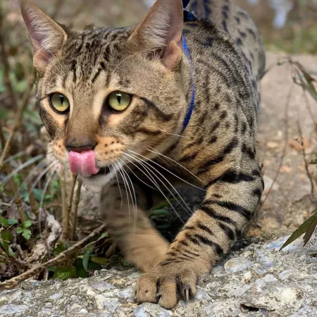 Review #181148, image #1