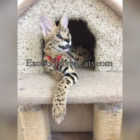 Review #181148, image #2