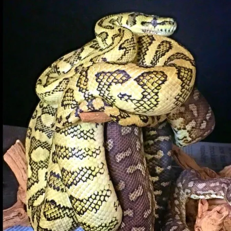 Review #181380, image #1