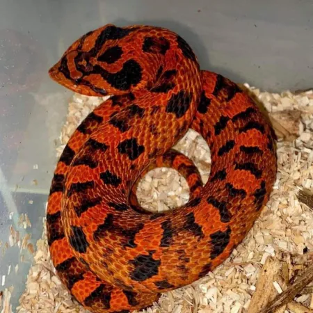 Review #182226, image #1