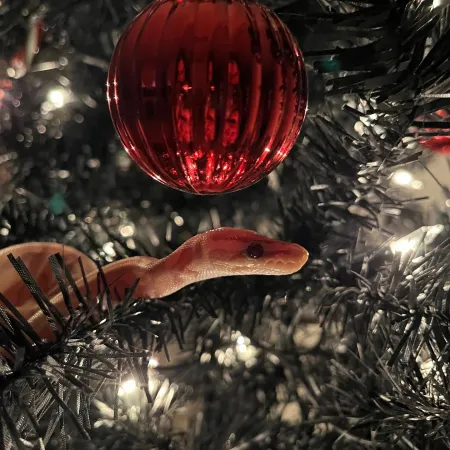 Review #182800, image #1