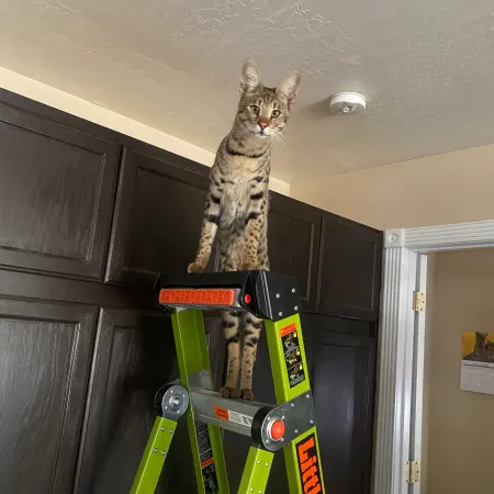 Review #183129, image #1