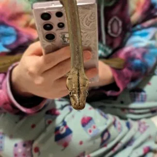 Review #183574, image #1