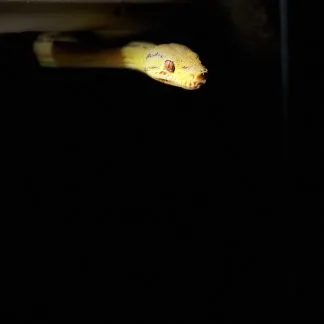 Review #185085, image #2