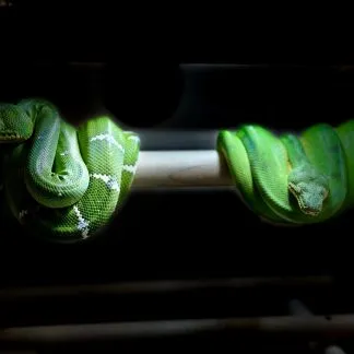 Review #185085, image #3