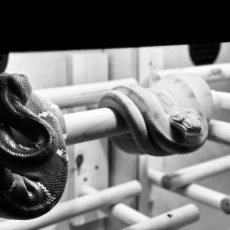 Review #185085, image #4