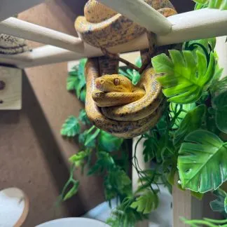 Review #185085, image #6