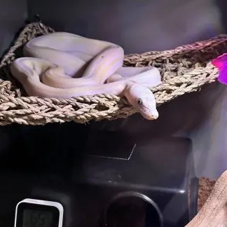 Review #185151, image #2